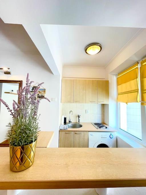 Boutique Apartment In The Bucharest City Center المظهر الخارجي الصورة